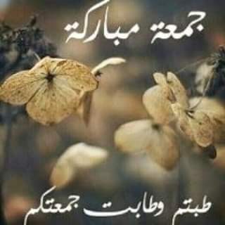 #ساعه_استجابه
اللهم اجعل لي في هذا الشهر الكريم مخرجا وارزقني برزق من عندك وسدد ديني ودين كل من صلى على المصطفى صلى الله عليه وسلم
ستديو_22_mbc
سبب_الخيانه_الرجل_او_المراه
من_شارع_الهرم_إلى
يوم_الجمعة
فرجت_والرجا_فالله
فوازير_غازي_الذيابي7
المعزب14
خلطات_جدتي
نمر_الذيابي