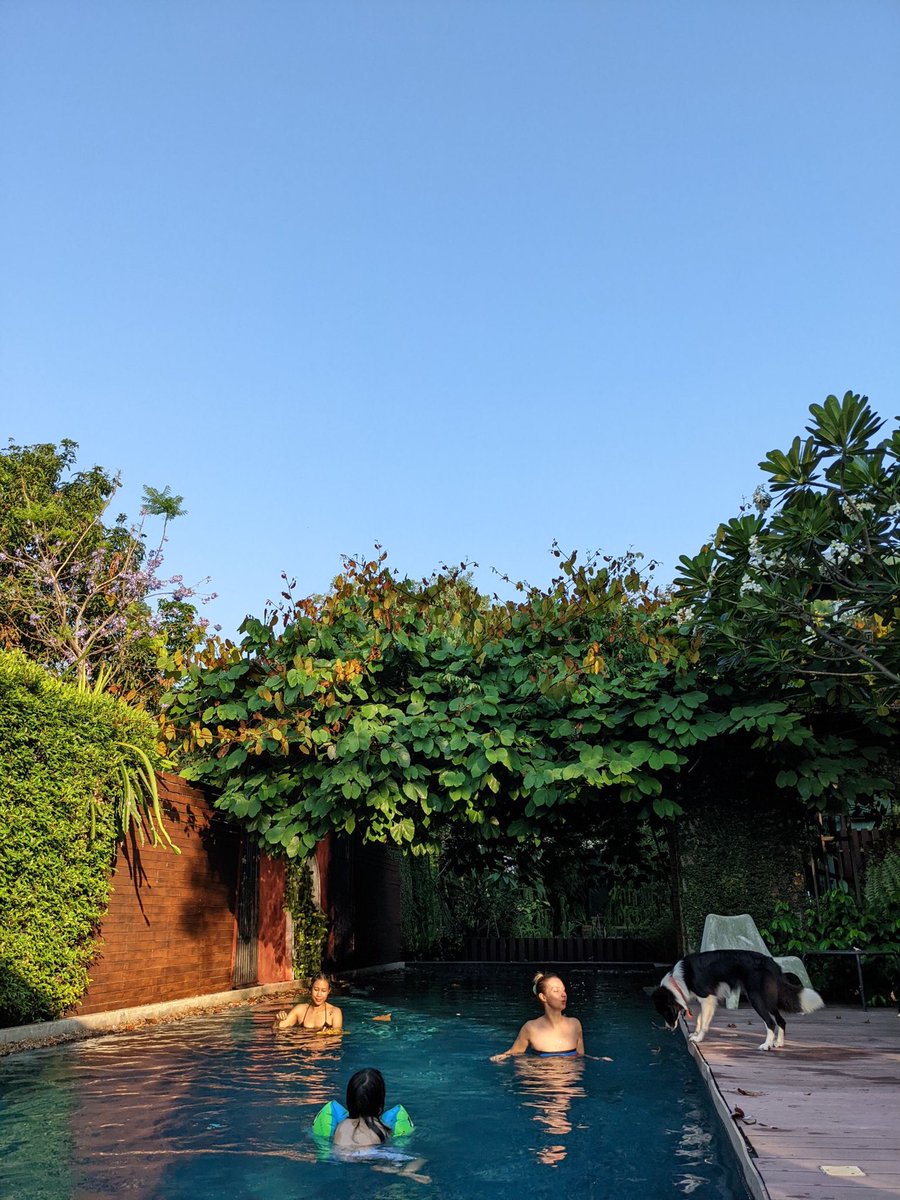 วันหยุดแบบควอลิตี้ไทม์ย่านรามคำแหง :
เพิ่งได้มีเวลาชมกุหลาบที่ปลูกไว้แต่ไม่มีเวลารดน้ำตั้งแต่ทำงานประจำ / กินมาม่าให้สะใจ / พาลูกไปว่ายน้ำเล่นกับน้องหมา / ทำอะไรกินง่ายๆตอนเช้า