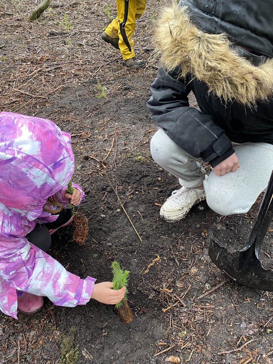 Tricia Stec tweet media