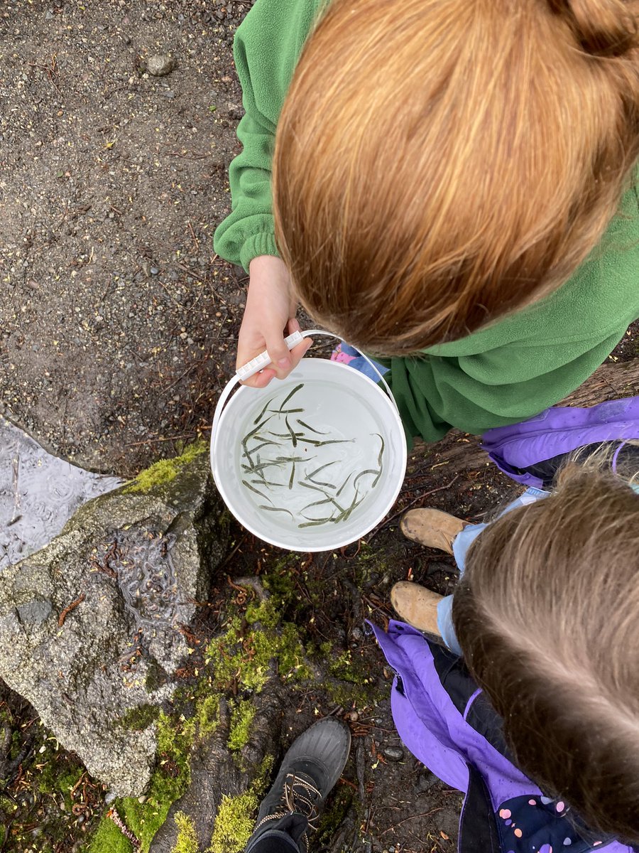 Tricia Stec tweet media