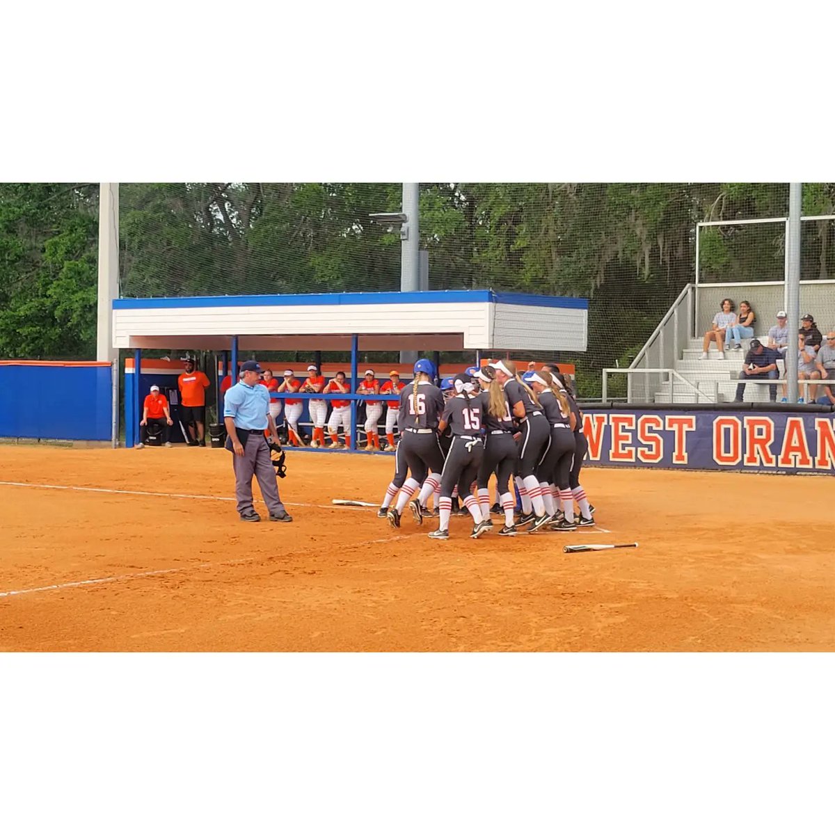 West Orange Softball tweet media