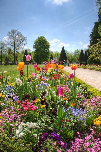 Good morning my friends happy day