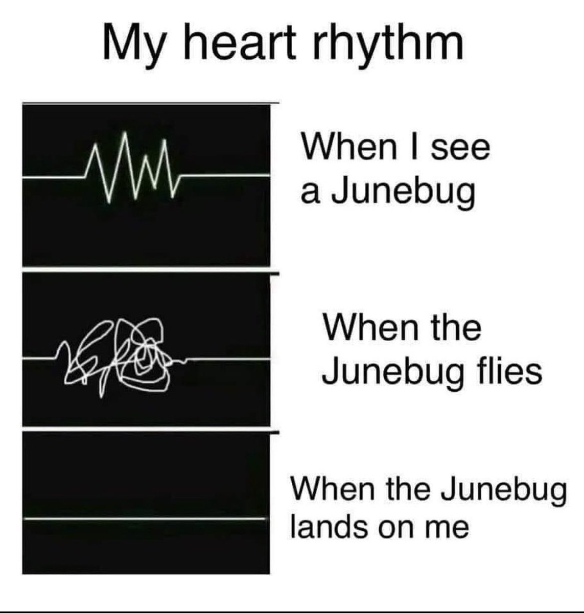 I got pulled over one time for swinging my arms around in my car and slamming on my breaks- it was hard to explain that it was a Junebugs fault and not alcohol or drugs. 🤦🏻‍♀️🤣 #scaredformylife