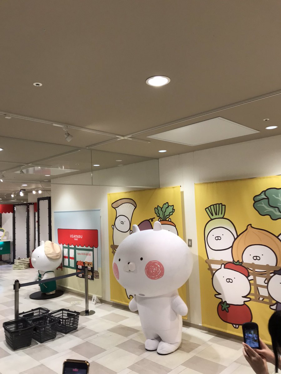 UsamaruMaster's tweet photo. 1,2 うさまる先生会ってきたー！
かわいい(◍ ´∞` ◍)

3 アボカドまるがこんなところにいた(*´艸`)
4 昼ご飯のカルボナーラ美味しかった😋
また食べたい！

#うさまる https://t.co/taxhXxPY5h