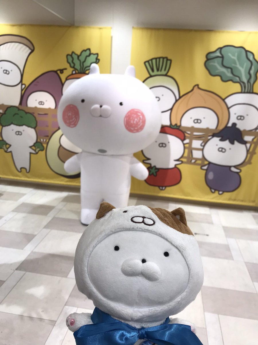 UsamaruMaster's tweet photo. 1,2 うさまる先生会ってきたー！
かわいい(◍ ´∞` ◍)

3 アボカドまるがこんなところにいた(*´艸`)
4 昼ご飯のカルボナーラ美味しかった😋
また食べたい！

#うさまる https://t.co/taxhXxPY5h