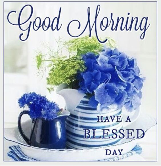 ranigill7's tweet photo. #GoodMorningworld #BeBlessedAlways๐๐๐๐๐ค๐ค๐ค๐ผ๐ผ๐ผ๐๐๐ https://t.co/GEcotGHuqW