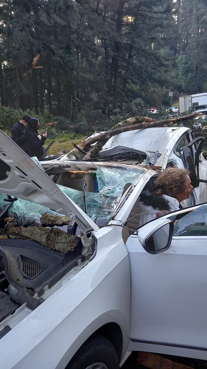 CynthiaBecro's tweet photo. Mamá de 3 niños, que dependen de mi trabajo, el lunes 11 de Abril circulaba en la carr. Mex-Toluca Km 29 Del. Cuajimalpa cuando un árbol de 15 metros cayó sobre mi auto.  Solicitó su apoyo @lopezobrador_ @Claudiashein @AdrianRubalcava @GobCDMX @lopezdoriga @AristeguiOnline https://t.co/V0B1a40Wb8