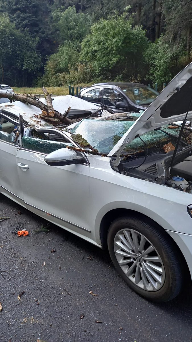 CynthiaBecro's tweet photo. Mamá de 3 niños, que dependen de mi trabajo, el lunes 11 de Abril circulaba en la carr. Mex-Toluca Km 29 Del. Cuajimalpa cuando un árbol de 15 metros cayó sobre mi auto.  Solicitó su apoyo @lopezobrador_ @Claudiashein @AdrianRubalcava @GobCDMX @lopezdoriga @AristeguiOnline https://t.co/V0B1a40Wb8