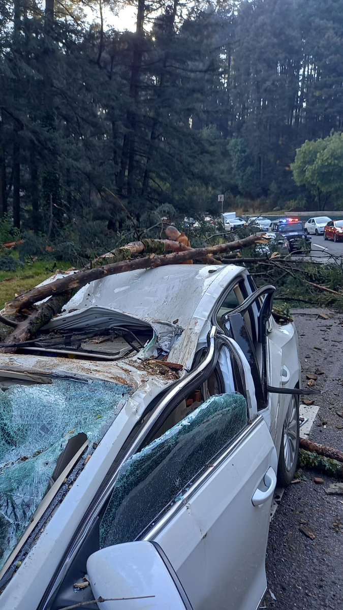 CynthiaBecro's tweet photo. Mamá de 3 niños, que dependen de mi trabajo, el lunes 11 de Abril circulaba en la carr. Mex-Toluca Km 29 Del. Cuajimalpa cuando un árbol de 15 metros cayó sobre mi auto.  Solicitó su apoyo @lopezobrador_ @Claudiashein @AdrianRubalcava @GobCDMX @lopezdoriga @AristeguiOnline https://t.co/V0B1a40Wb8