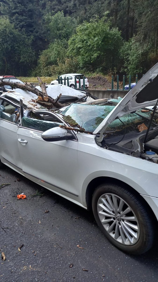 CynthiaBecro's tweet photo. Mamá de 3 niños, que dependen de mi trabajo, el lunes 11 de Abril circulaba en la carr. Mex-Toluca Km 29 Del. Cuajimalpa cuando un árbol de 15 metros cayó sobre mi auto.  Solicitó su apoyo @lopezobrador_ @Claudiashein @AdrianRubalcava @GobCDMX @lopezdoriga @AristeguiOnline https://t.co/V0B1a40Wb8