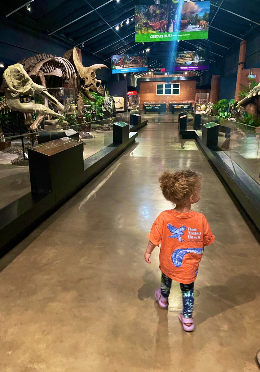 MrsOsborne_KMS's tweet photo. Such a fun day at the museum! @hmns #hmnssugarland https://t.co/90KE3UJdqQ