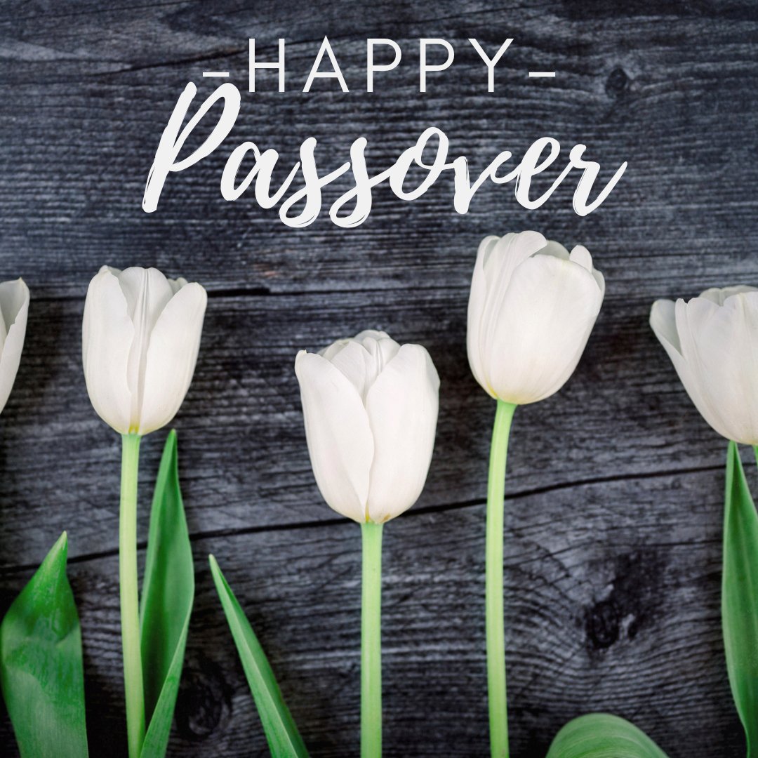 BlissFullLifeCo's tweet photo. Happy Passover! https://t.co/c0ChQGBocv