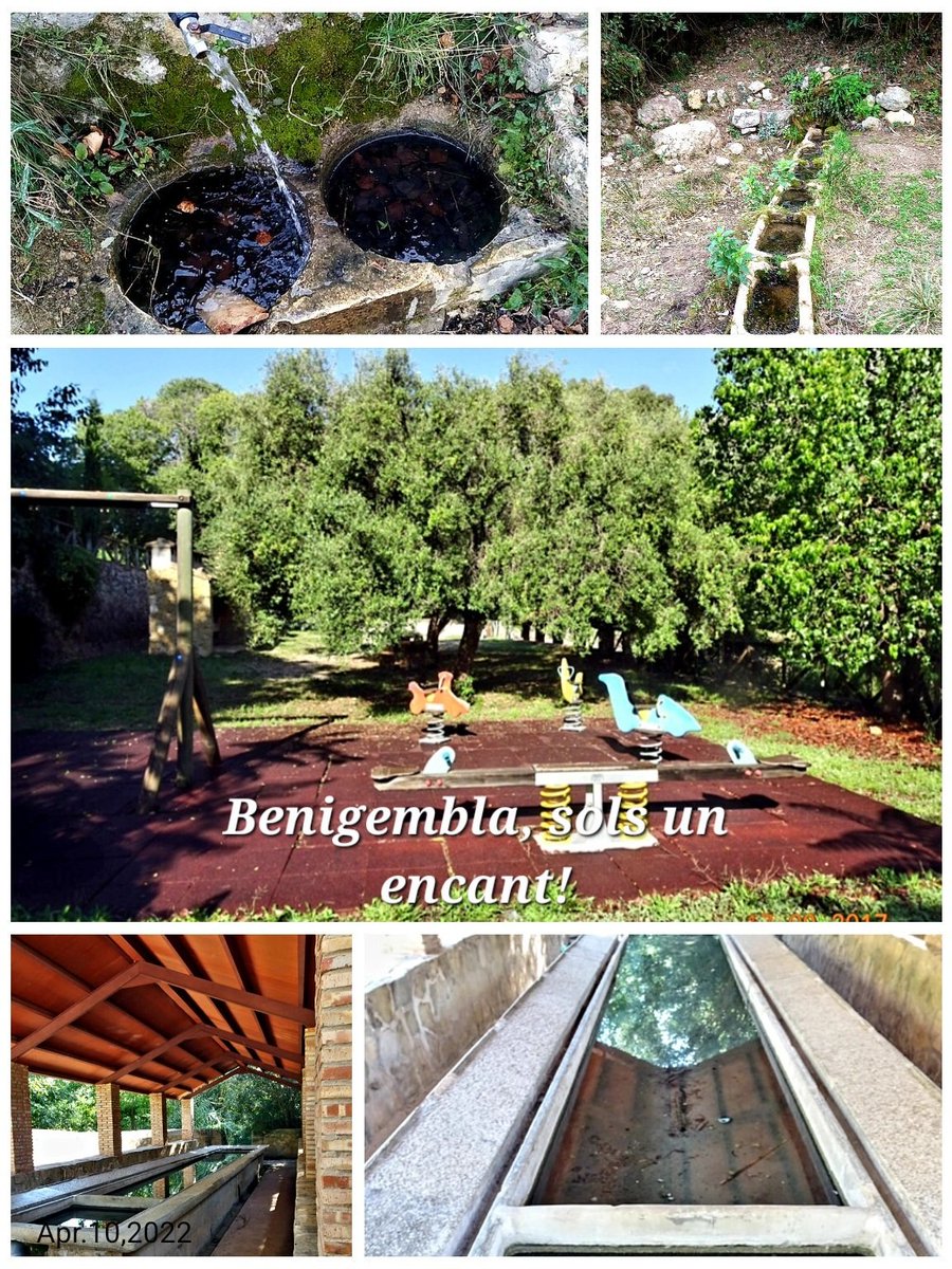 Gatinvisible's tweet photo. @lasprovincias @valenciabonita_ Avui a #Benigembla a la #MarinaAlta, #ValldePop 🥰 @turismovalldpop @alicanteturismo #Alicante @PepinoAcn @MuntanyaV @diumengedeserra @SerraAmunt @Basseta @costablancaorg @CANFALIma @levante_emv @lasprovincias https://t.co/WZlAOmJm8g https://t.co/HhxmLSnqTV
