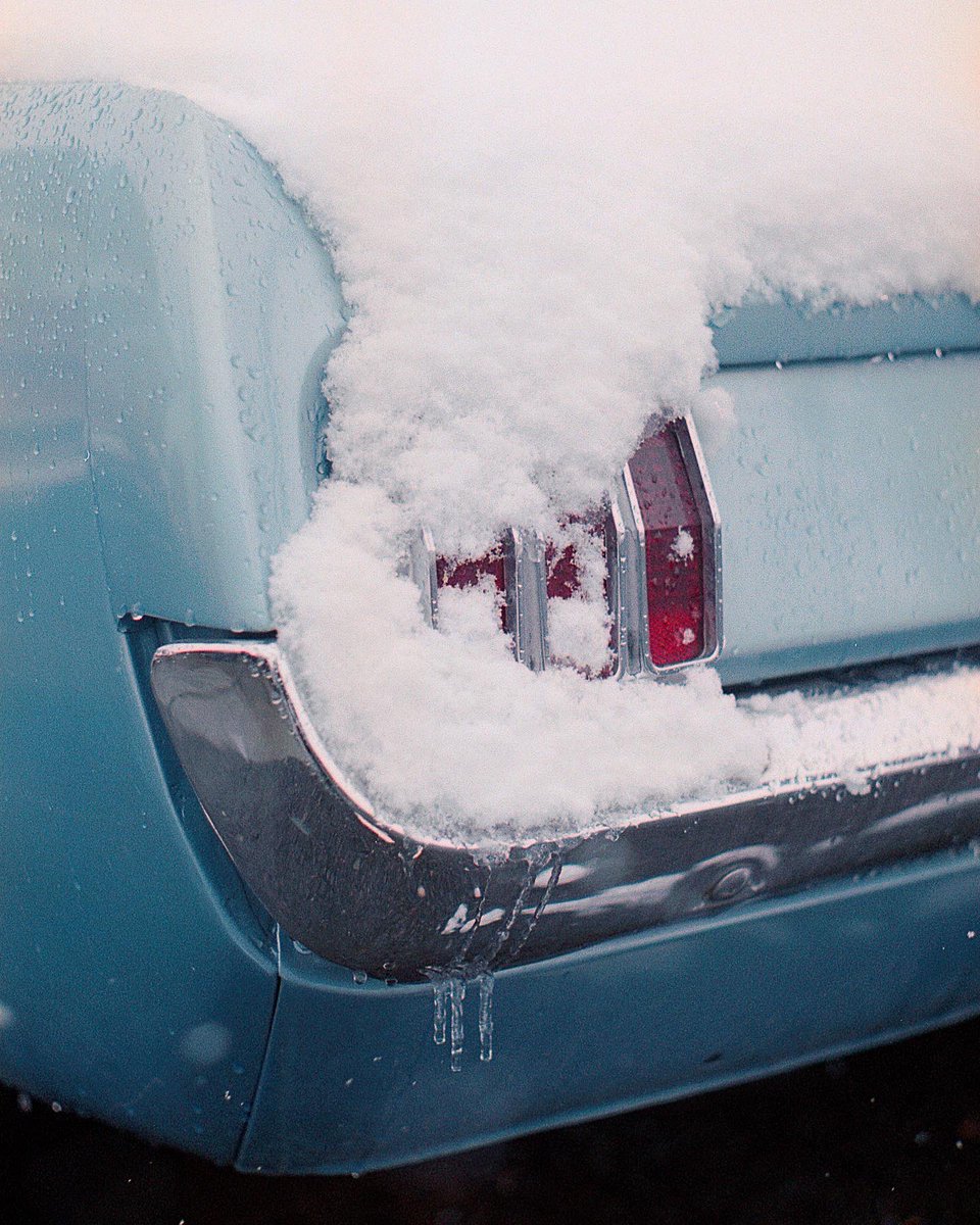arthuritis_'s tweet photo. Powdered Sugar 
🎞: Fuji Superia 400 
#filmphotography #Mustang #35mm #carphotography https://t.co/mB9plxM6h2