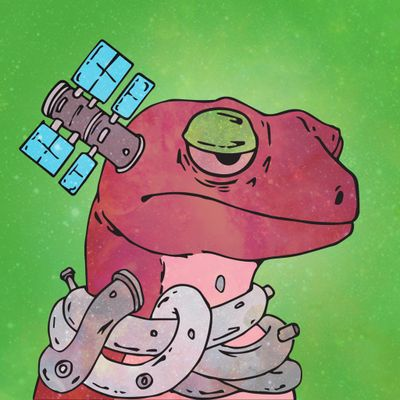 🟠 31 🟠 tweet media