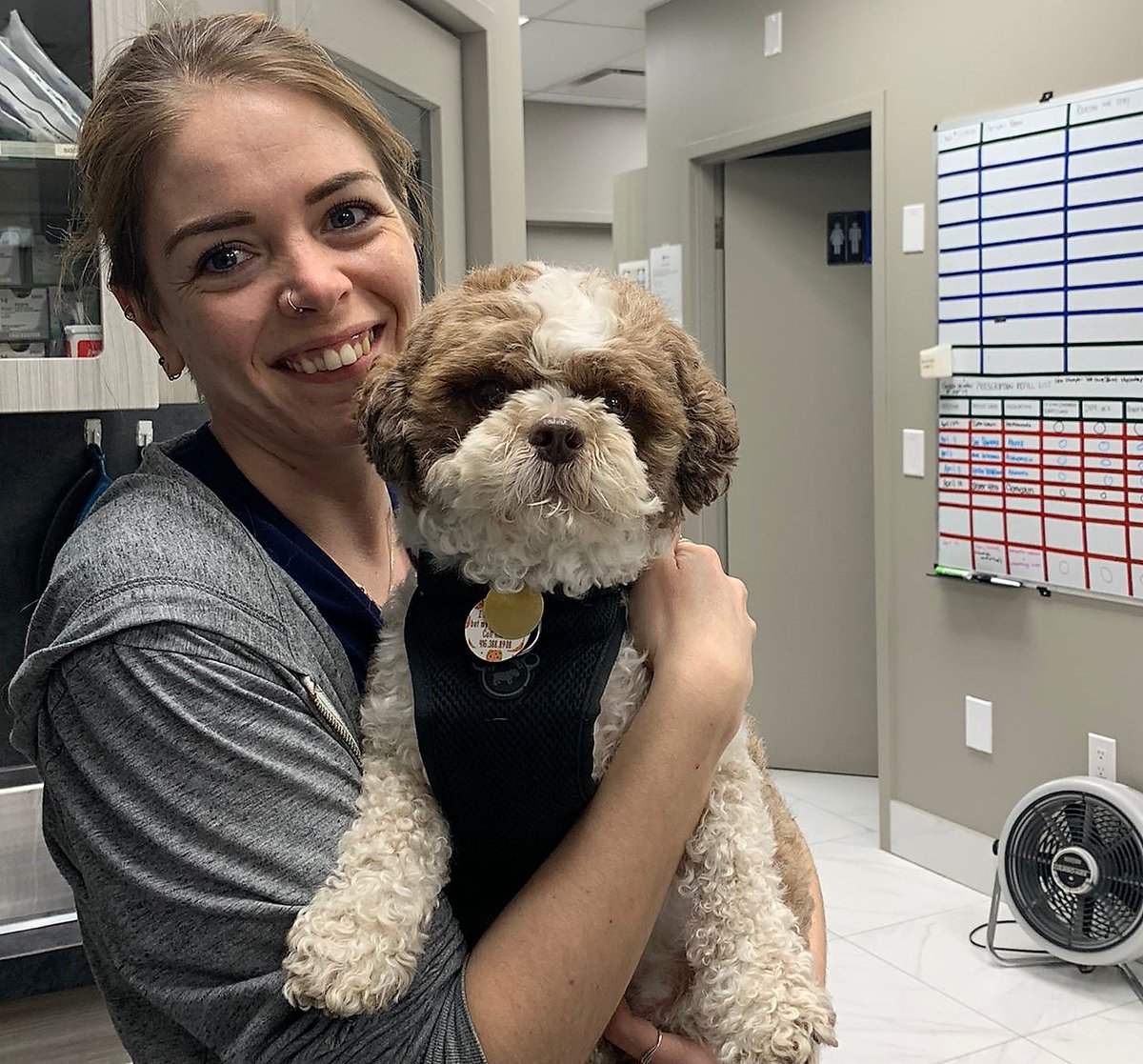 DrEllenKinzl's tweet photo. Behind the scenes with pet care specialist Shawna and the supercute Cookie! (And yes, it's his regal bearing that gave him the Insta name @hrh.cookie !)
.
.
#petcare #cutedogs #torontodogs #regaldogs #toronto #libertyvillage #veterinarian https://t.co/jOe4IGVpNb
