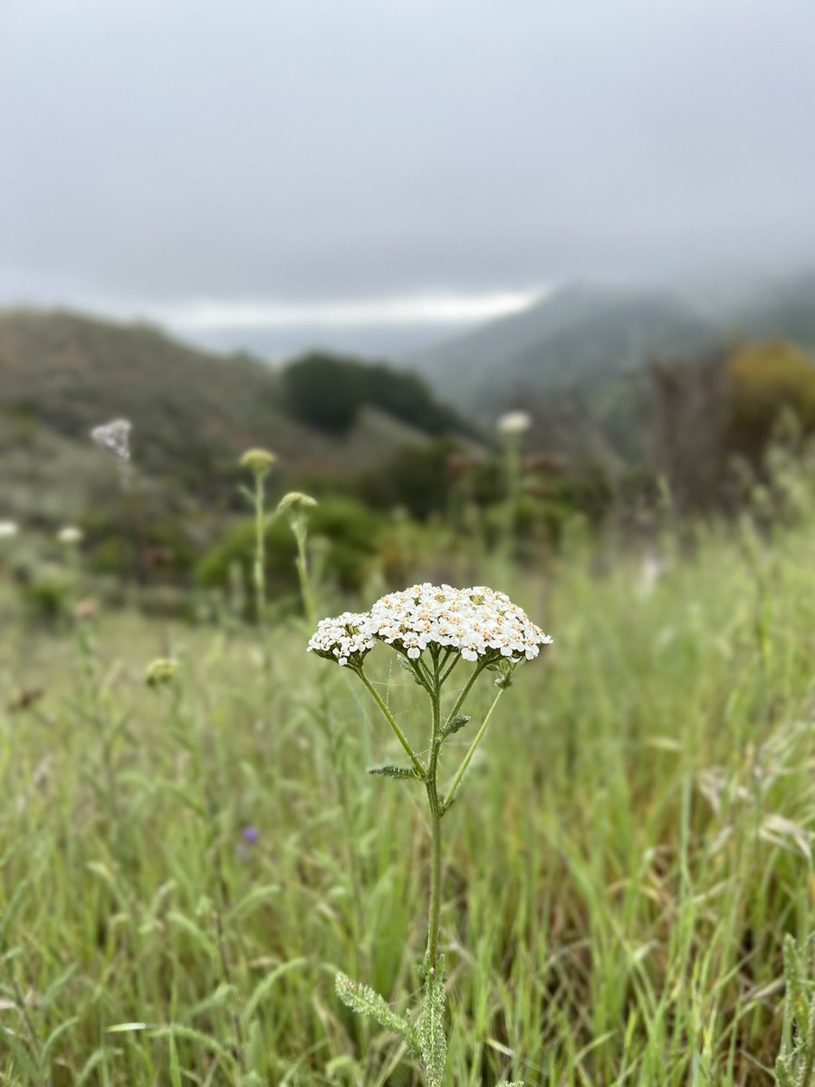 Arun Gupta tweet media