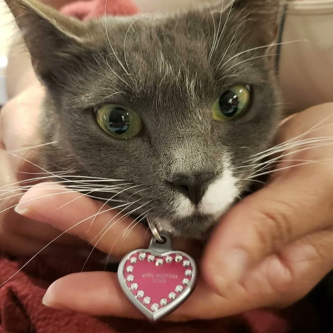 MoneyLaun tweet media