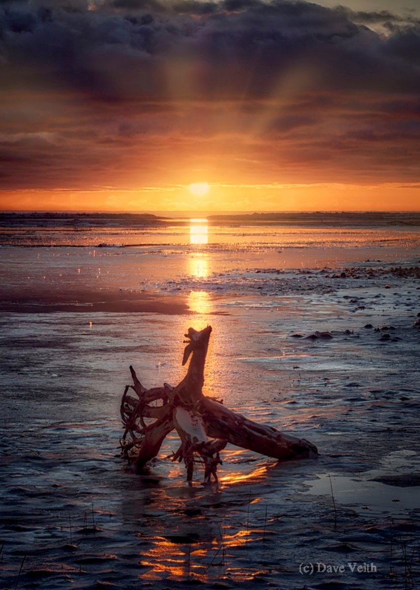 dloop1's tweet photo. Dragon sunset over iced slough — Homer, AK

#travel #naturephotography #photography #naturelovers #beautiful #travelphotography #adventure #alaska  #landscapephotography #nature #natwildmag  #Alaskalife #captureAlaska #sunsets https://t.co/nMEO7bBAB5