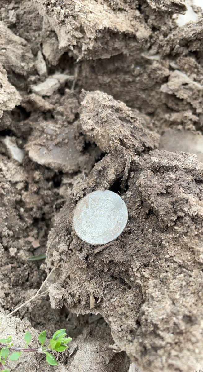 coinguy50's tweet photo. 1788 Spanish Real found detecting today! https://t.co/61JiQeiBqO