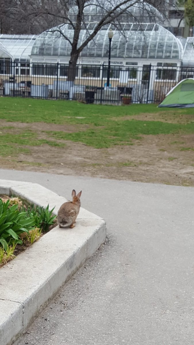 Caitlin O'Donovan tweet media