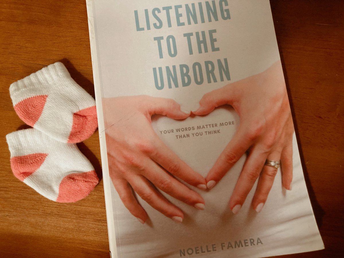 ElectNoelle's tweet photo. @GovRonDeSantis is “Listening to the Unborn.”  God Bless ✝️🙏

“ Pregnancy is a process that invites you to surrender to the unseen force behind life.”- Judy Ford https://t.co/zS5ffeikpv