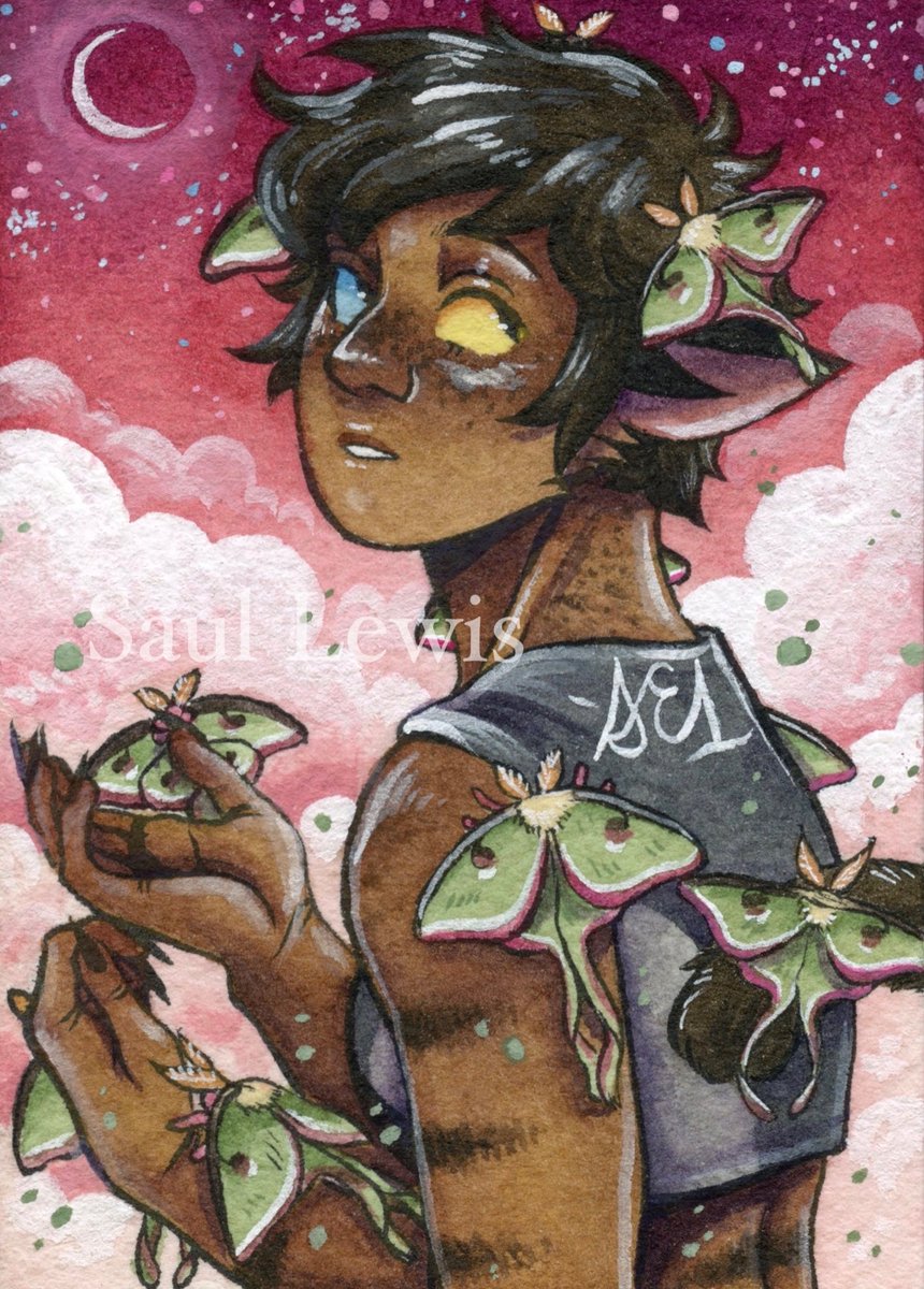 💕 Catra with Luna Moths 💕

#shera #sherafanart #spop #catra