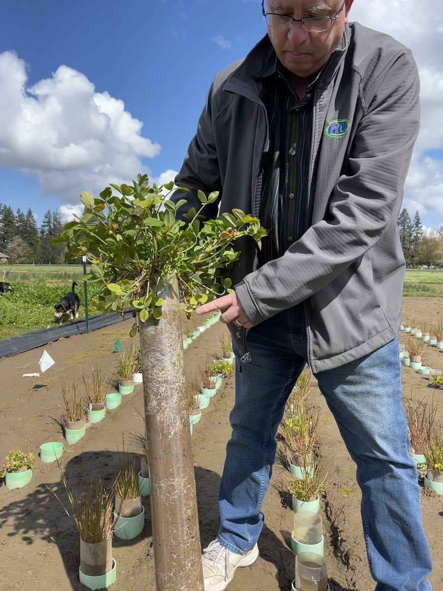 Dr. Abbey Wick tweet media