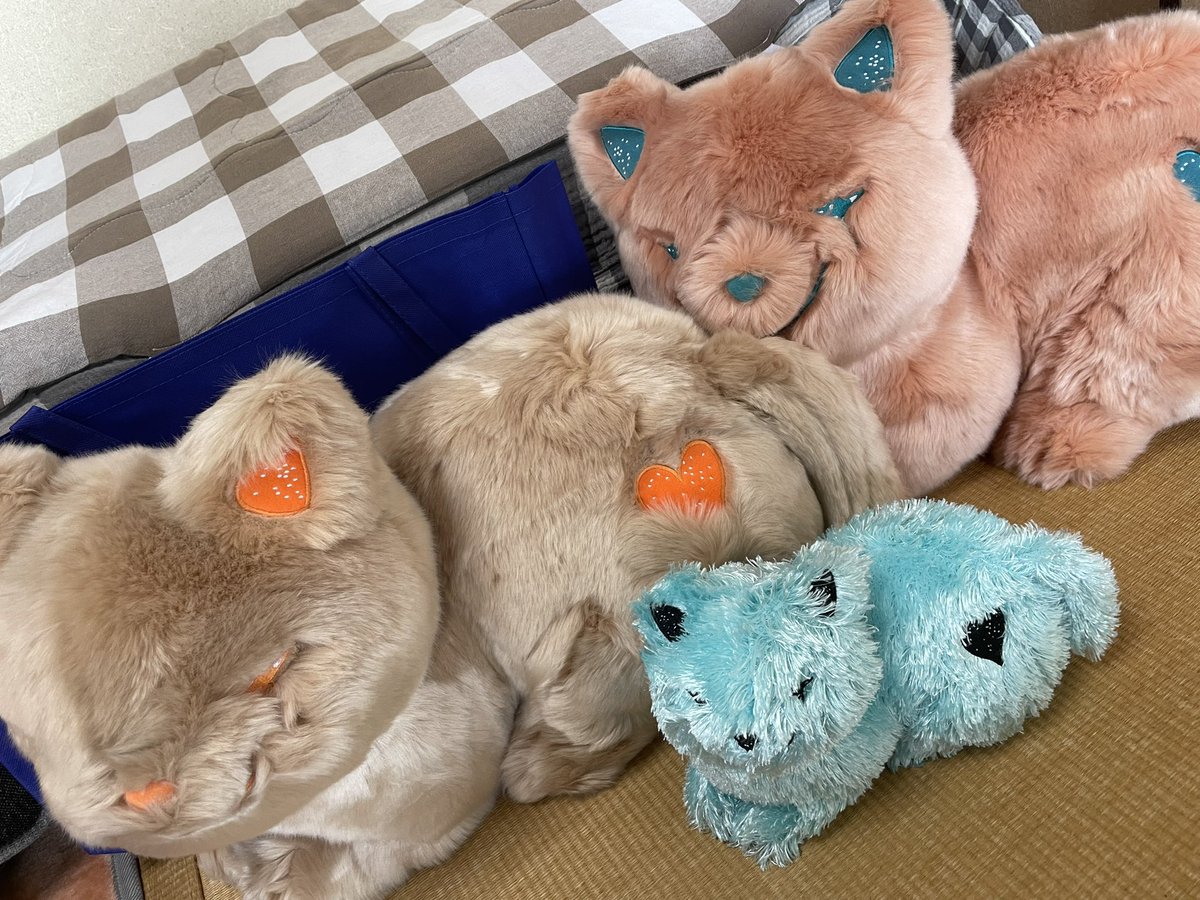 teya__251second's tweet photo. やっと届いた
かわいい https://t.co/vCX6sF8Dun