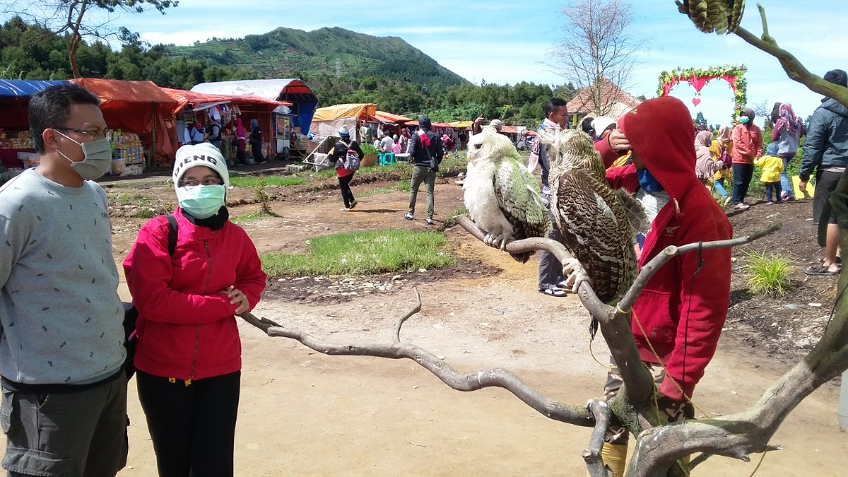 sitibasiroh7's tweet image. Kala itu...Dipenghujung Tahun 2016.
#Savememory 💖💖💖