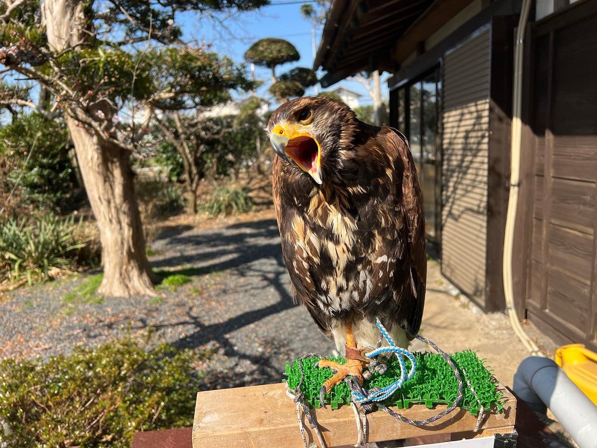 Cafede10's tweet photo. さあ今日も頑張りますか😁
cafede祐夢 https://t.co/ZrOaKUIMPg
