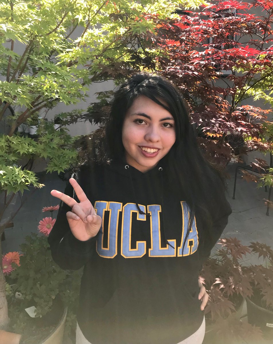 Flor Vanessa Maciel tweet media