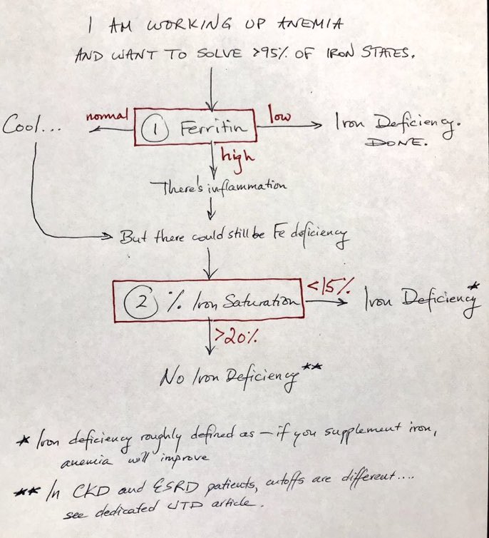 Estefany Garces (@estefanygarces3) on Twitter photo 