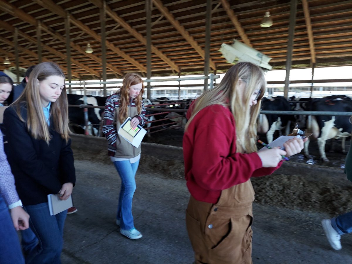 UnionCityFFA's tweet photo. Union city’s dairy teams went and competed in a practice judging contest. 
Senior team placing 6th
Junior team placing 3rd
Addison-20
Miranda-23
Jacob-26th
Mya-28th
Levi placed 6th in junior division.
Great job to everyone who participated! https://t.co/0hZWH0Seks