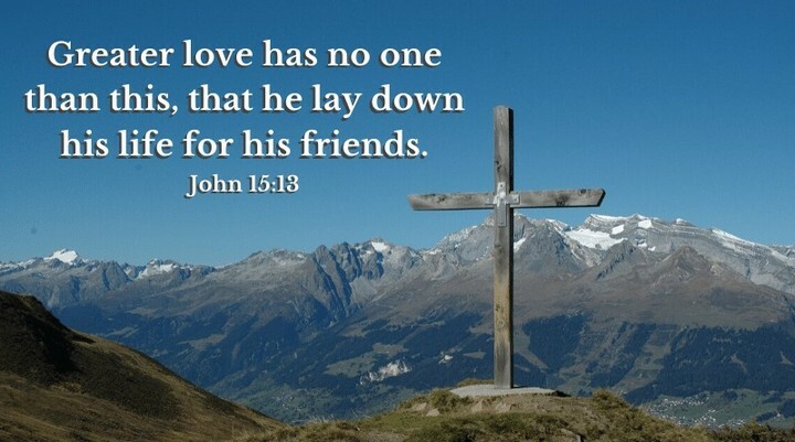 The Wheeldon Company Pest Management tweet media