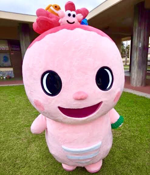 「Sunna-chan the coral fairy is the mascot」|Mondo Mascotsのイラスト