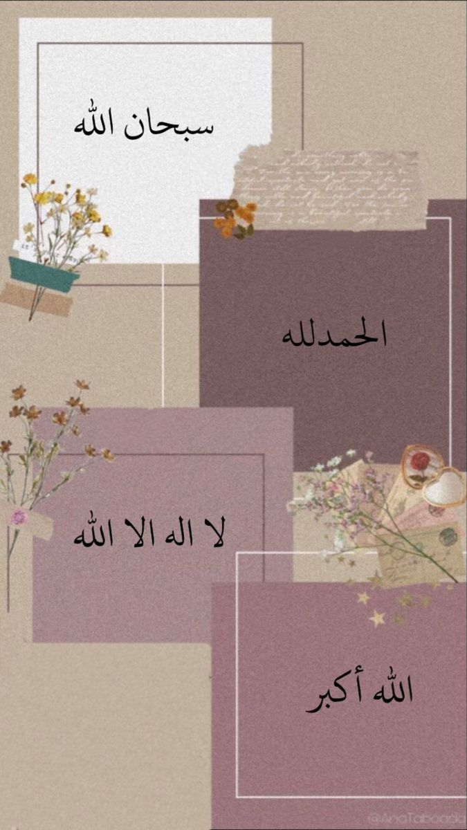 :┓━━━━🕌🕋🕌━━━━┏-
اللهم صل وسلم وبارك على سيدنا
محمدﷺ وعلى آل سيدنا محمدﷺ
عدد خلقه ورضا نفسه ومداد كلماته
ـ┛━━━━🕌🕋🕌━━━━┗.