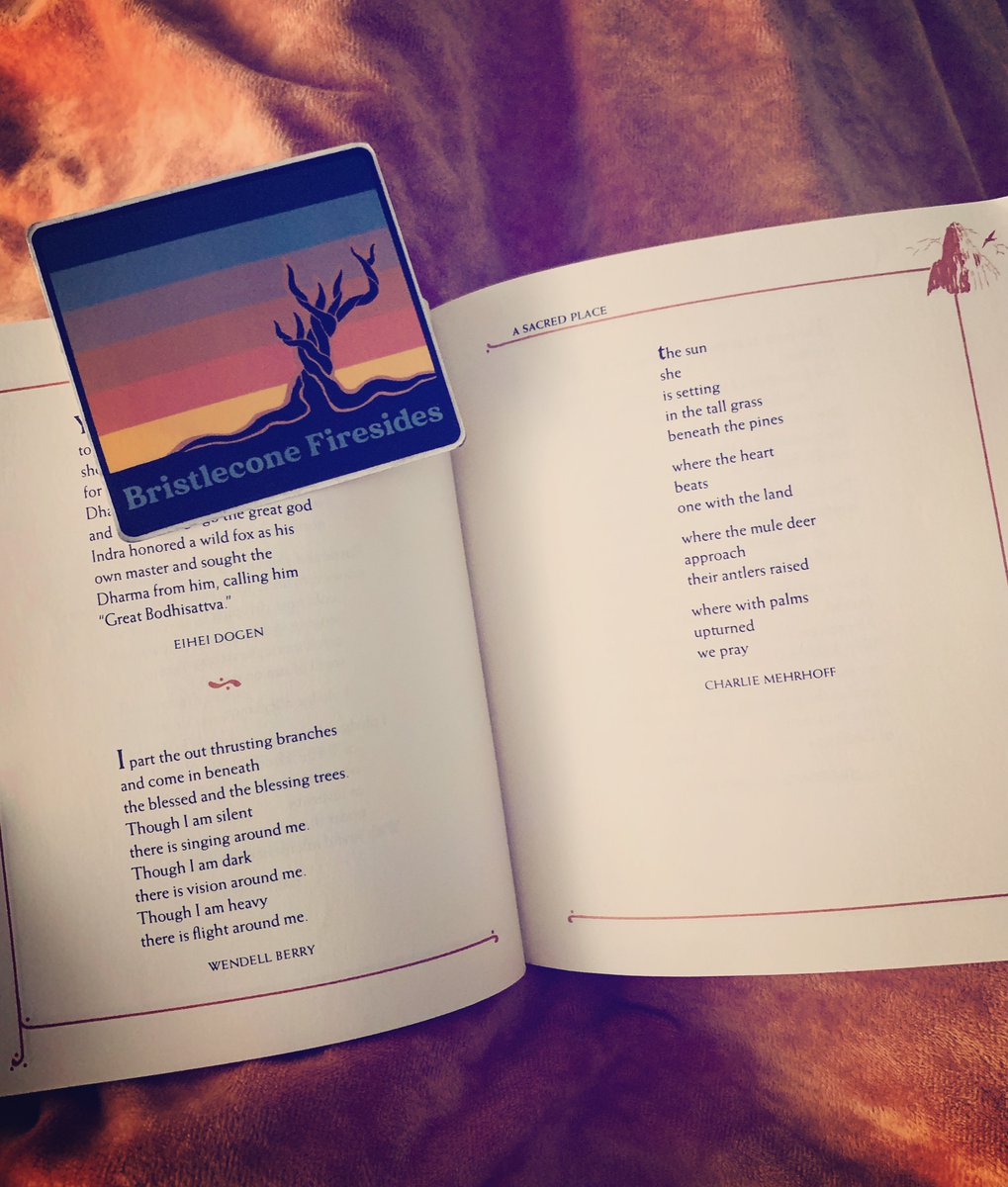 wandering the wild tweet media