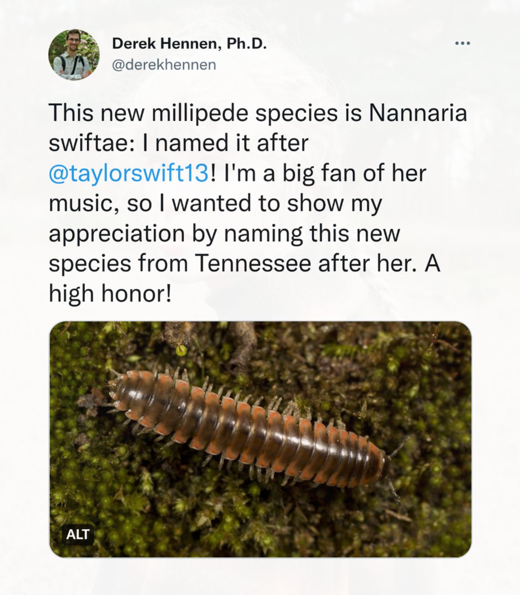 TheSwiftSociety's tweet photo. 📰| New species of millipede "Nannaria swiftae" is named in honor of @TaylorSwift13! 

The entomologist @DerekHennen (a big swiftie) wanted to show his love &amp; appreciation for her music. https://t.co/ExXF502A8A