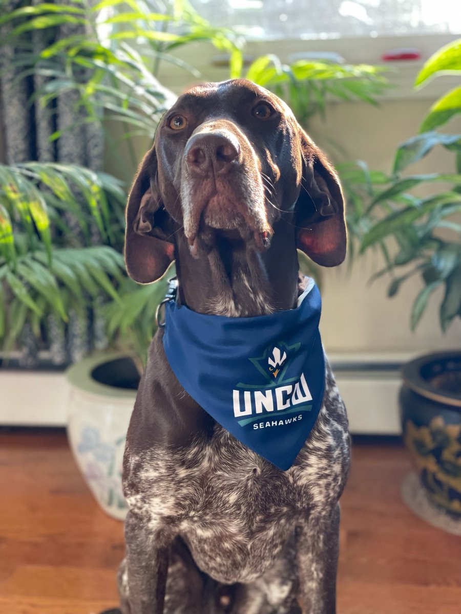 🎉BIG NEWS🎉 I'm SO excited to announce that in Jan 2023 I will be joining @UNCW_BaMB & @UNCW_CMS as an Assistant Professor in Coastal and Marine Biology.

Ruby & Tusc are ready to rep their new home team! #HawkYeah

#newPI #UNCW #LGBTQSTEM #LatinxinSTEM 1/4