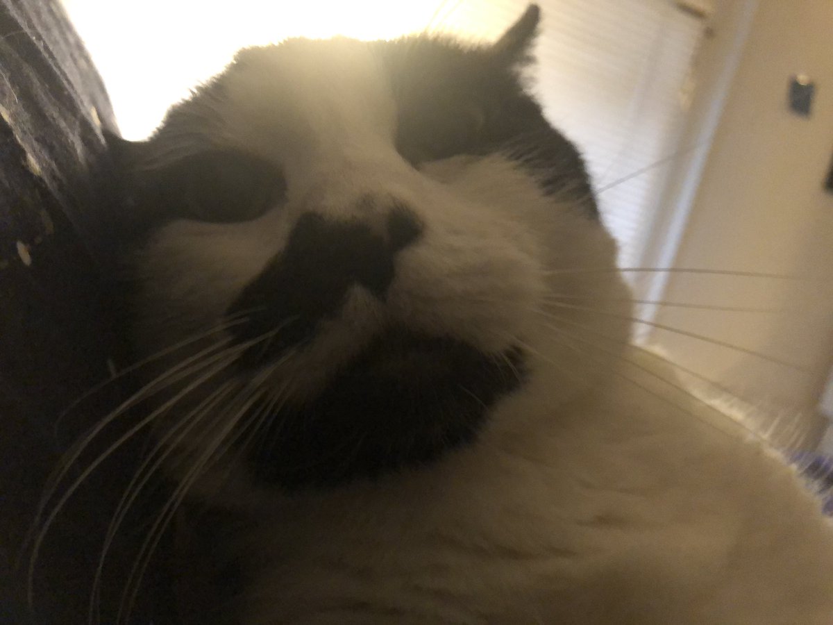 ozty2000's tweet image. Future is clear Past is blurry.