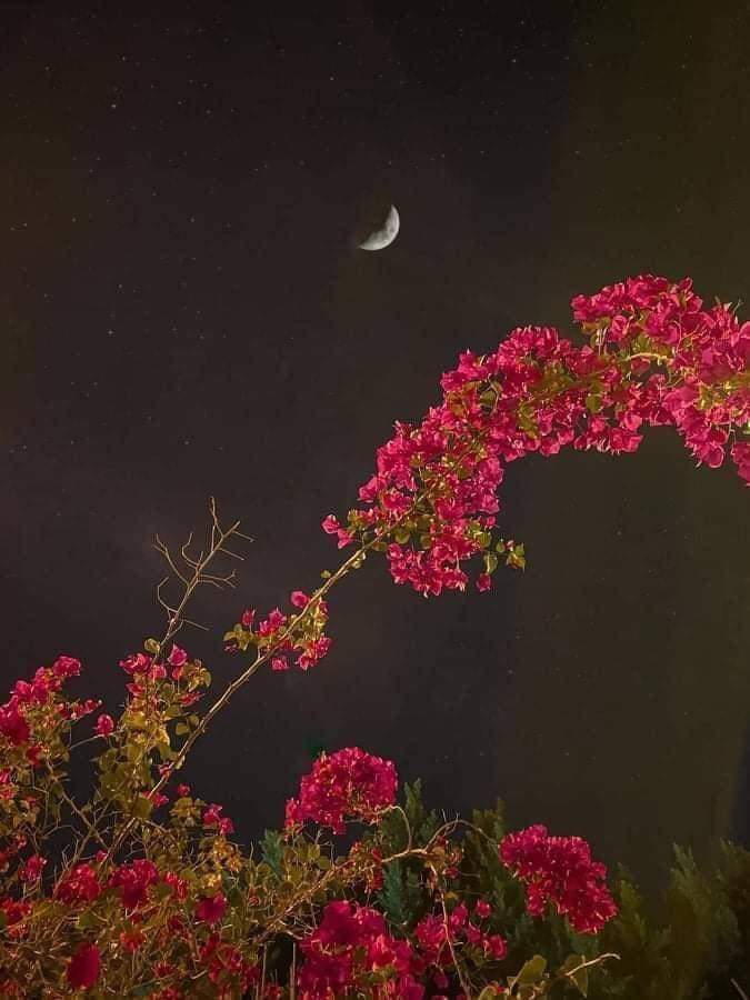 قبل اذان الفجر :🤎
"اللهم كما سيّرت الجبال سيّر لي رزقي
ونصيبي وأكرمني بكرمك وأعطني ما أتمنى".🤎