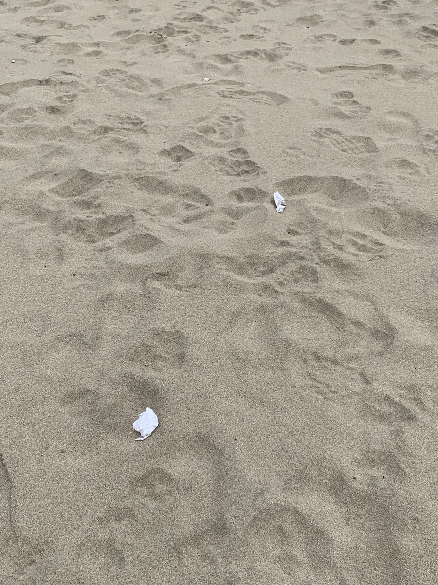 karrla_ma's tweet photo. Que pasa con la recolección de basura en Rio Sur Maicolpue, San Juan de la Costa? Hay malos olores, mucha basura en la playa y sobre todo aguas estancadas @Geosorno01 @OsornoNews @SnJuandelaCosta #contaminacion https://t.co/PVSFwe2oeH