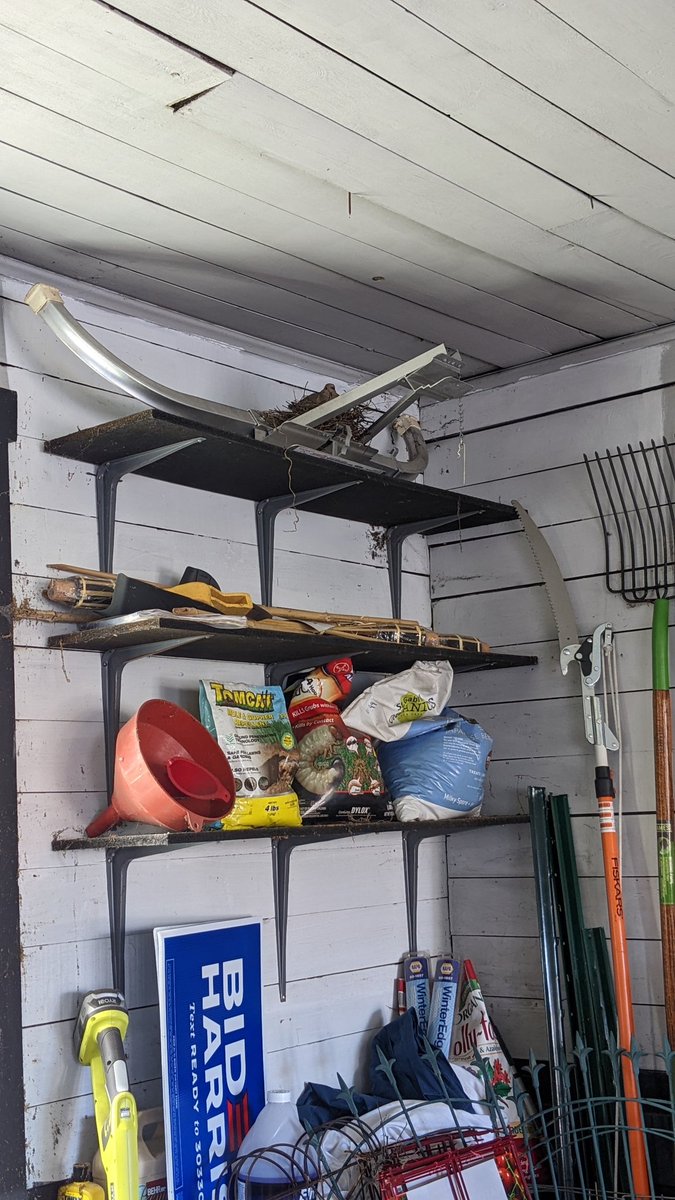 John Seiffer tweet media