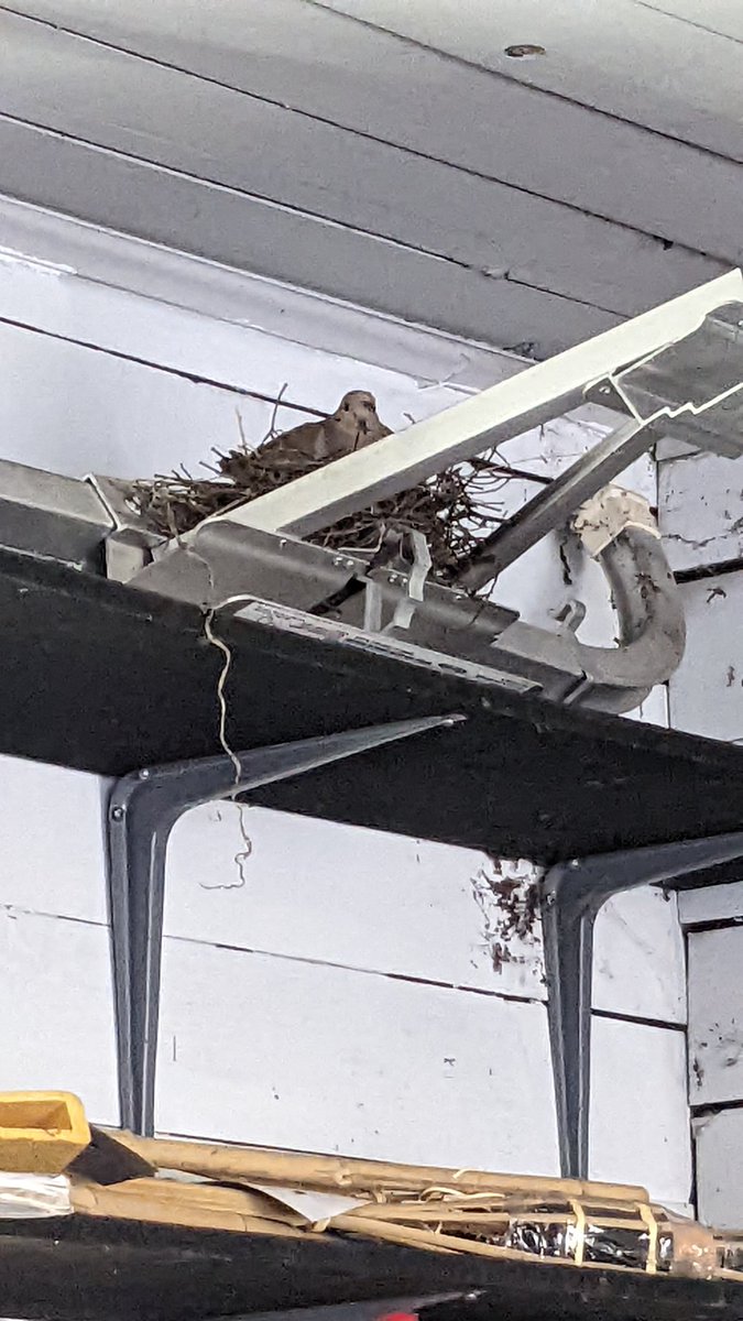 John Seiffer tweet media