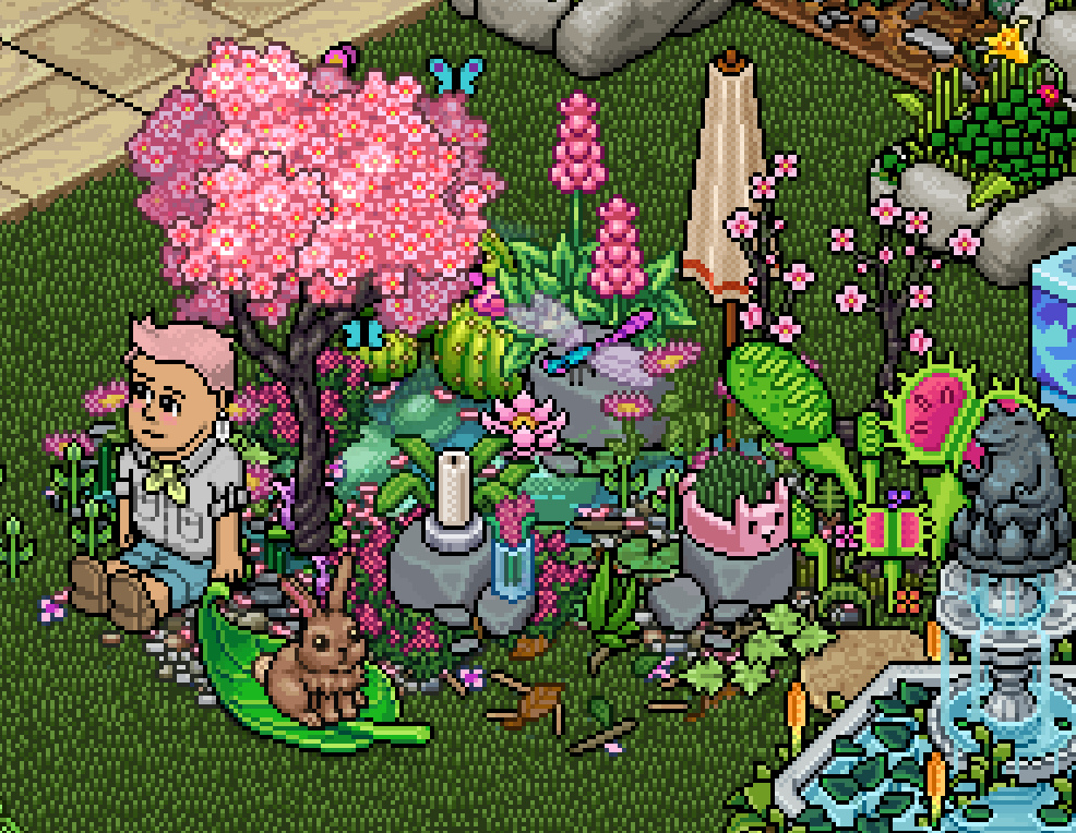 HabboOkee's tweet photo. me lil patch in the @HabboDuckyWood community garden C: https://t.co/Sb2v0zKVrF