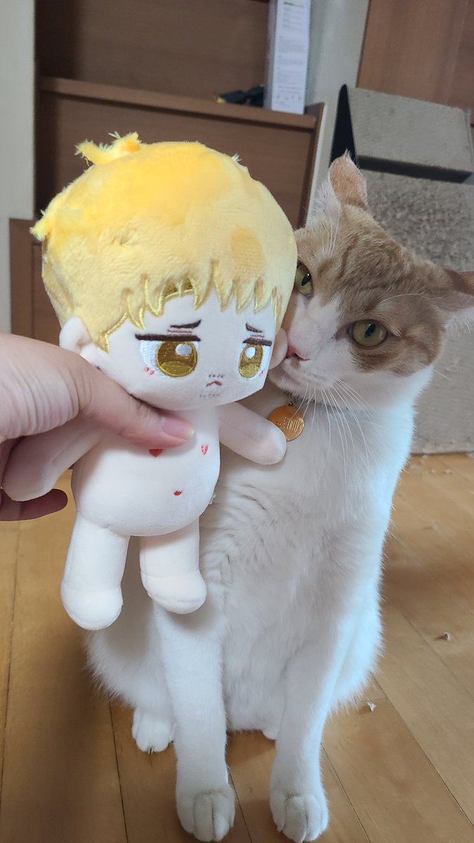 asshurt_9's tweet photo. 짱크네요ㄷㄷ https://t.co/Vj8acTU9av