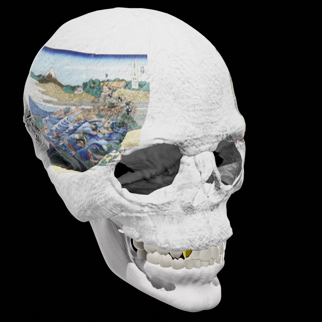富嶽三十六景🗻　〇/46
Ukiyo-e skull made for profile picture. #NFT #opensea 

opensea.io/assets/0x495f9…