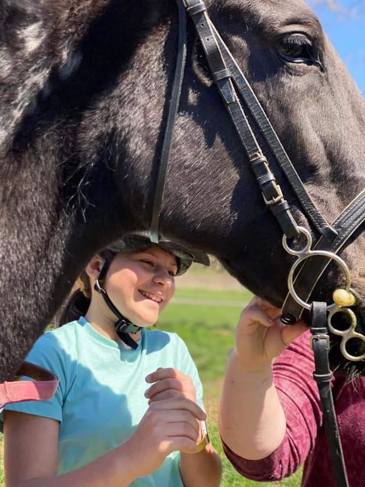 This awesome girl wants a home! Adoptahorse.org