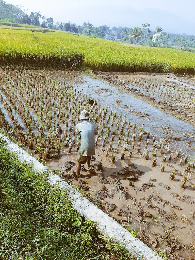 tulangdandi's tweet photo. #littleforest https://t.co/JTnnJWMRpt